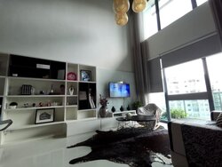 Soleil @ Sinaran (D11), Condominium #457140151